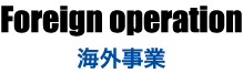 海外事業