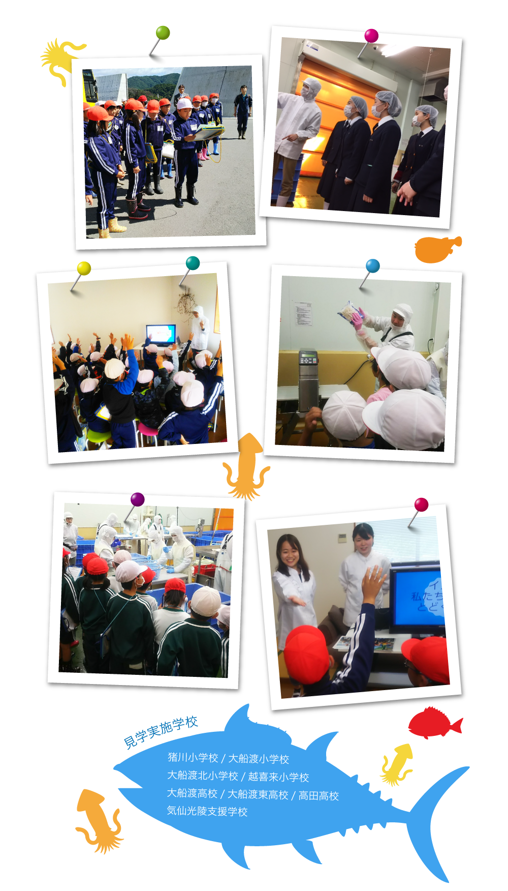 水産業の魅力を学び、サンコー食品の現場の雰囲気を肌で感じてみませんか？